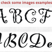 what font is netcamp
