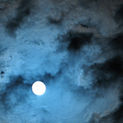 blue-moon.png