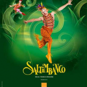 cirque du soleil