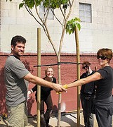 people-tree-cc-bitboy people-tree-cc-bitboy