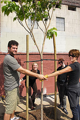 people-tree-cc-bitboy
