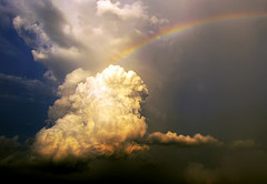 rainbow-linhngan rainbow-linhngan
