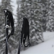 ski poles ski poles