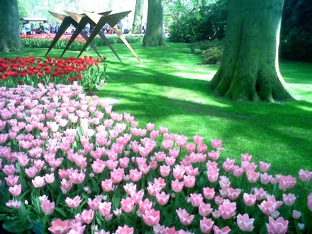 Flori Amsterdam