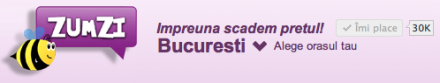 Logo Zumzi.ro
