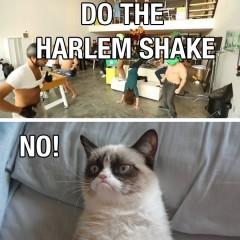 Harlem Shake